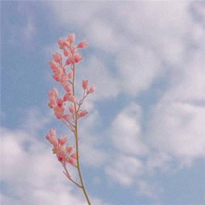 威尼斯官方网址下载