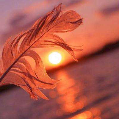 南宫体育下载手机版截图