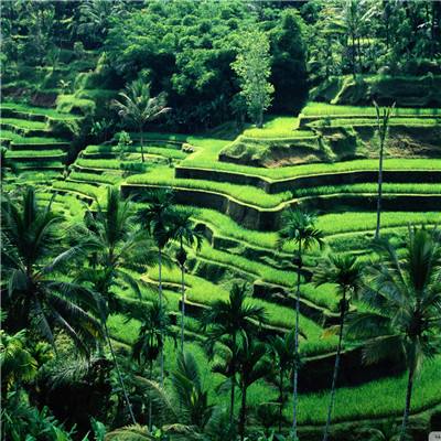 博鱼网页在线登录截图