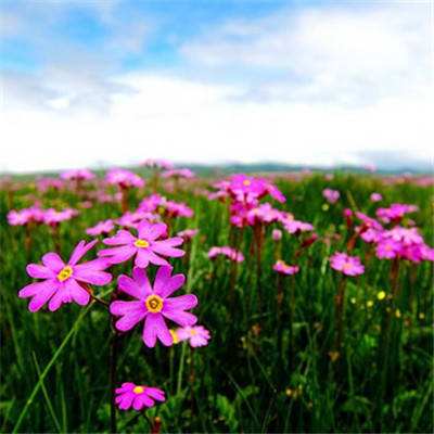 yabo手机版官网登录