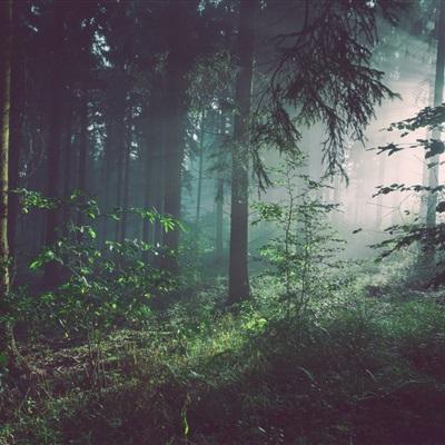 新manbetx-万博全站截图